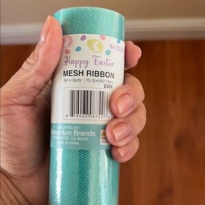Teal Mesh Ribbon